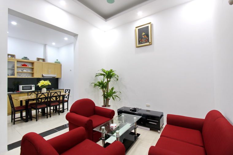 Cosy style and bright house for rent in Hai Ba Trung District